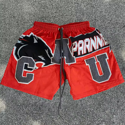 Custom Chenille Embroidered Logo Wholesale Stripe Fitness Clothing Gym Sport Wear Mesh Workout Shorts Free Sample for Men