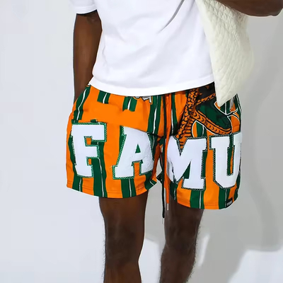 Custom Chenille Embroidered Logo Wholesale Stripe Fitness Clothing Gym Sport Wear Mesh Workout Shorts Free Sample for Men