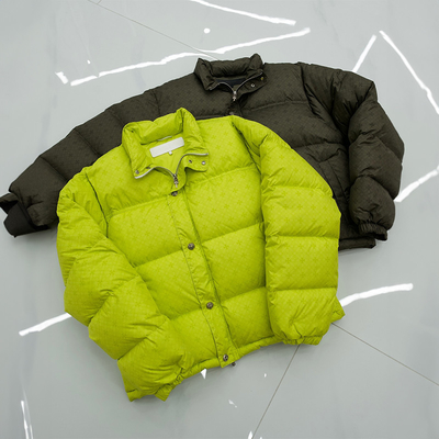 Winter Warm Cropped Down Jacket  Collar Zipper Dtg Print Puffer Crop Jacket
